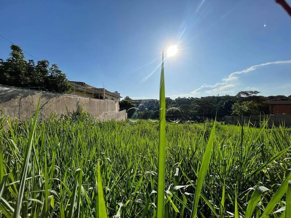Terreno, 825 m² - Foto 5