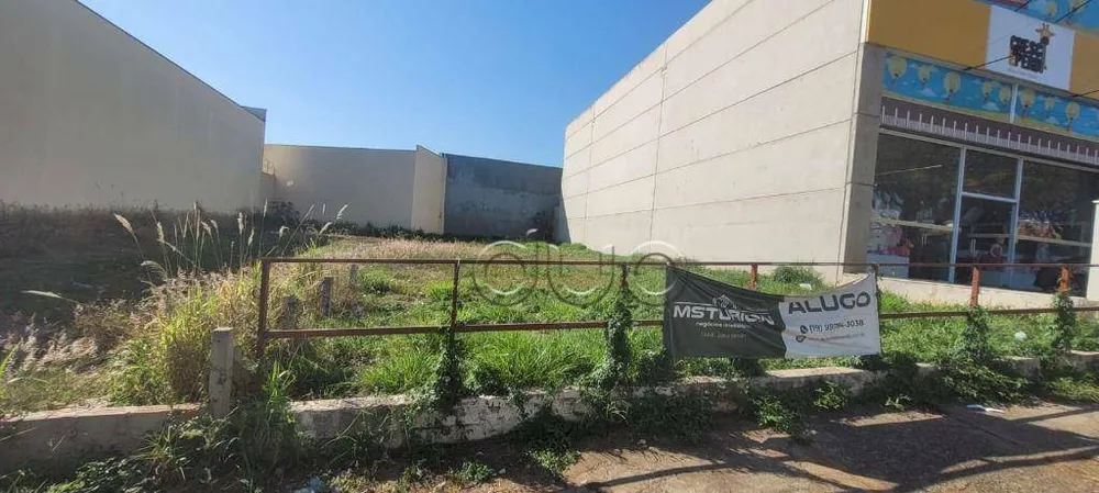 Terreno, 305 m² - Foto 3