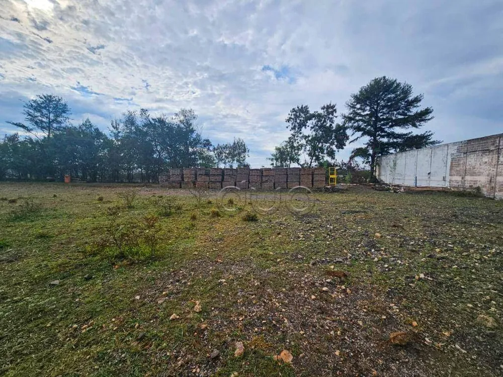 Terreno, 2 hectares - Foto 10