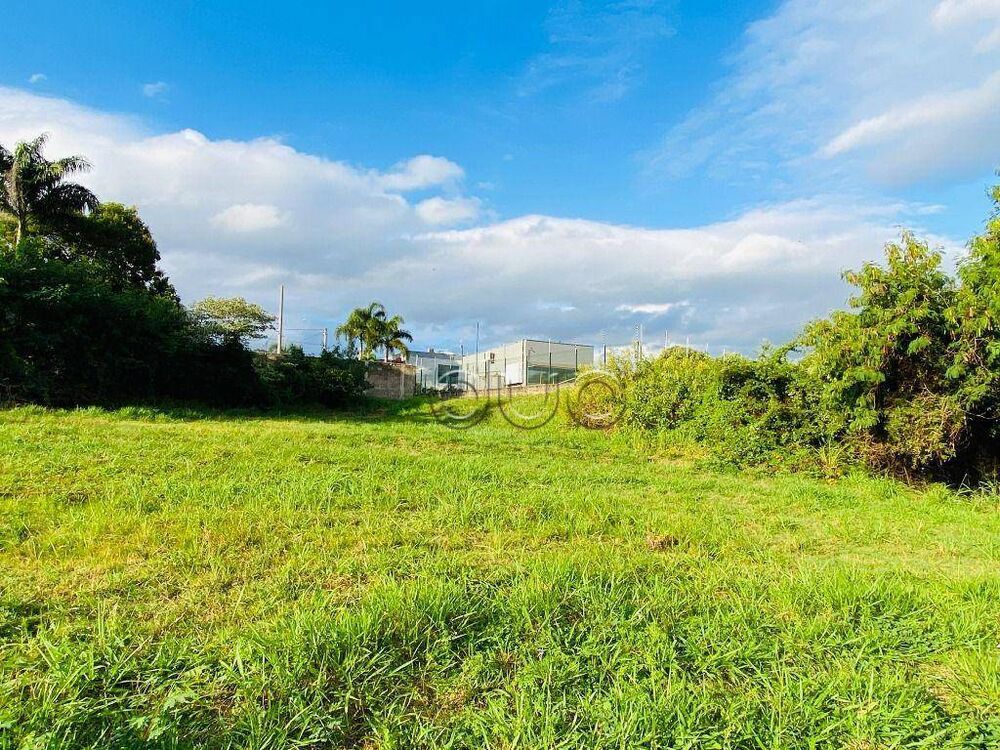 Terreno, 259 m² - Foto 1