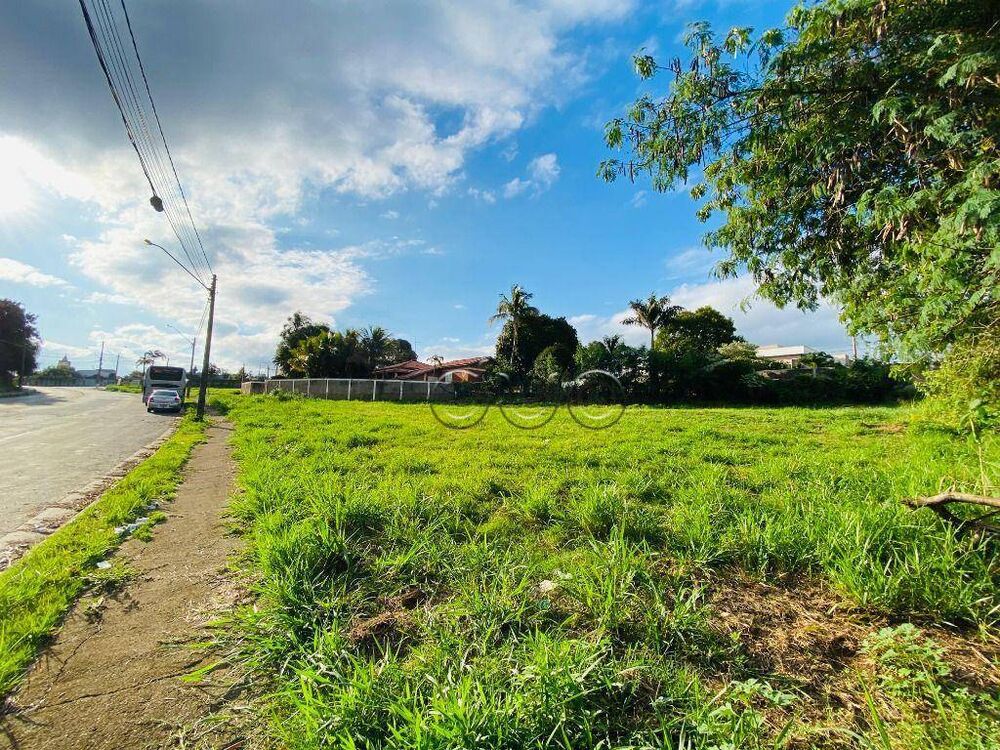 Terreno, 259 m² - Foto 4