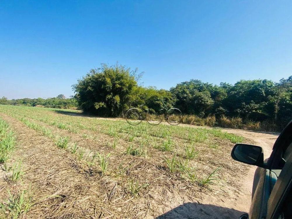 Fazenda, 196 hectares - Foto 1