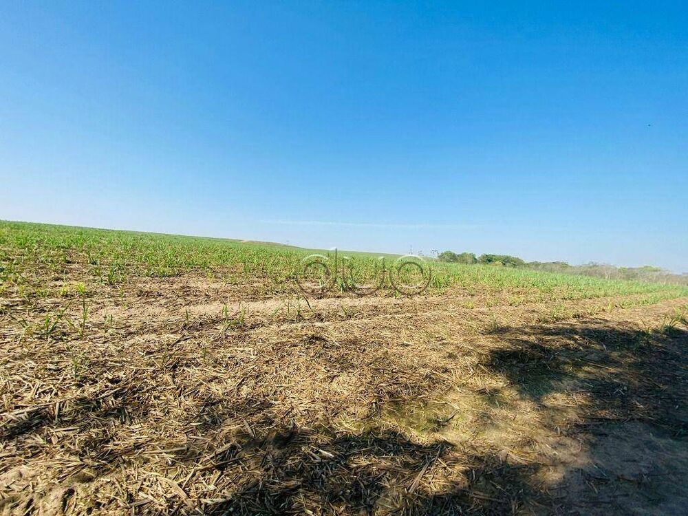 Fazenda, 196 hectares - Foto 3