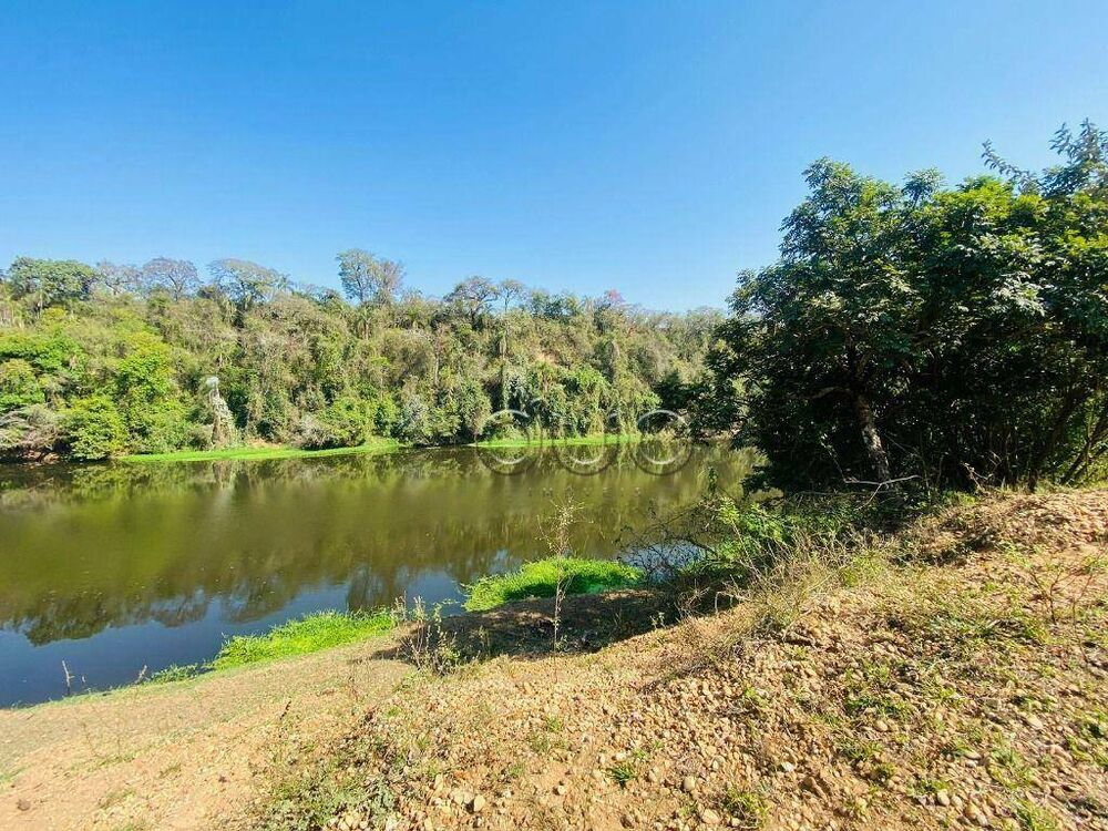 Fazenda, 196 hectares - Foto 4