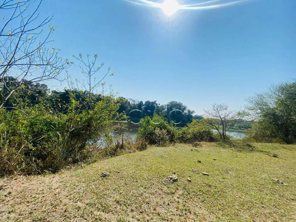 Fazenda, 196 hectares - Foto 6