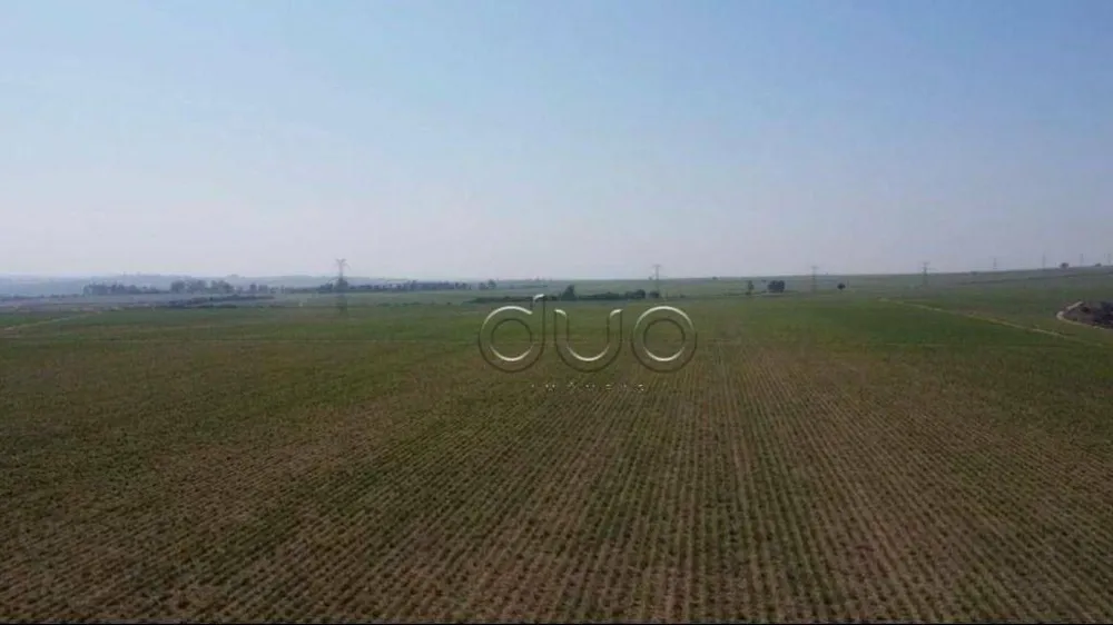 Fazenda, 196 hectares - Foto 4
