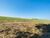 Fazenda-Sítio-Chácara, 222 hectares - Foto 3