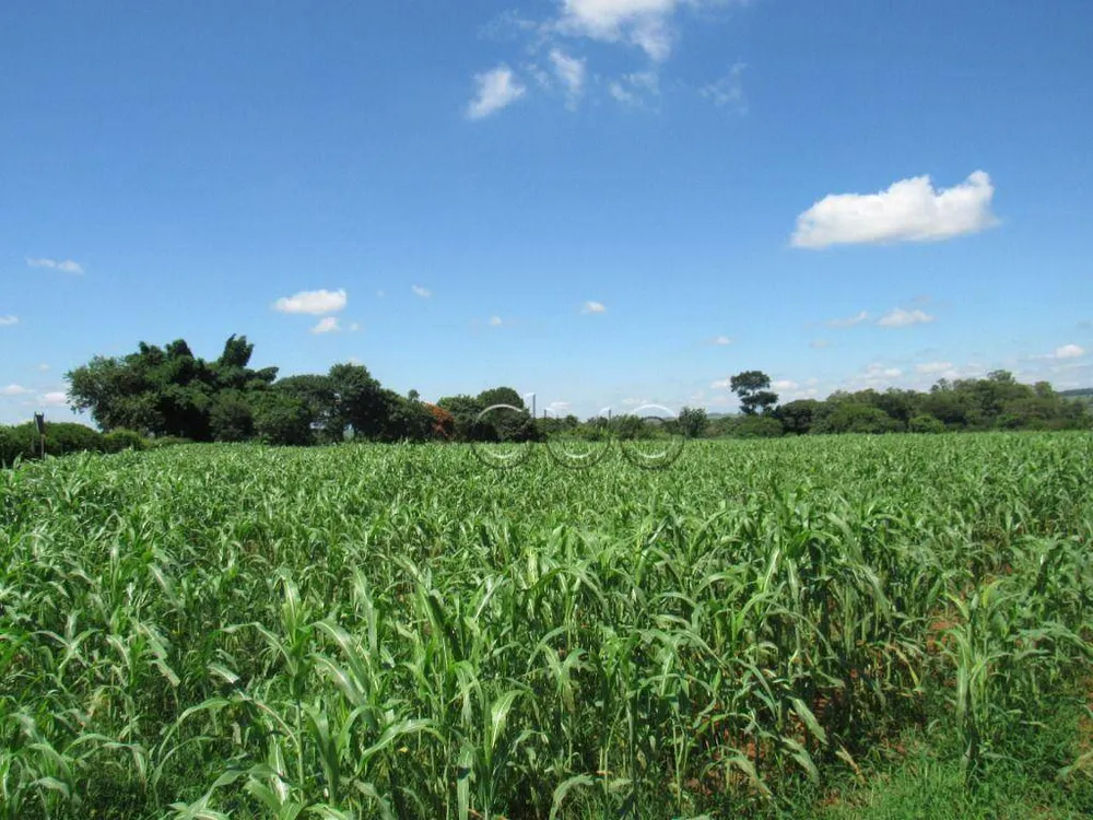 Terreno, 2 hectares - Foto 6