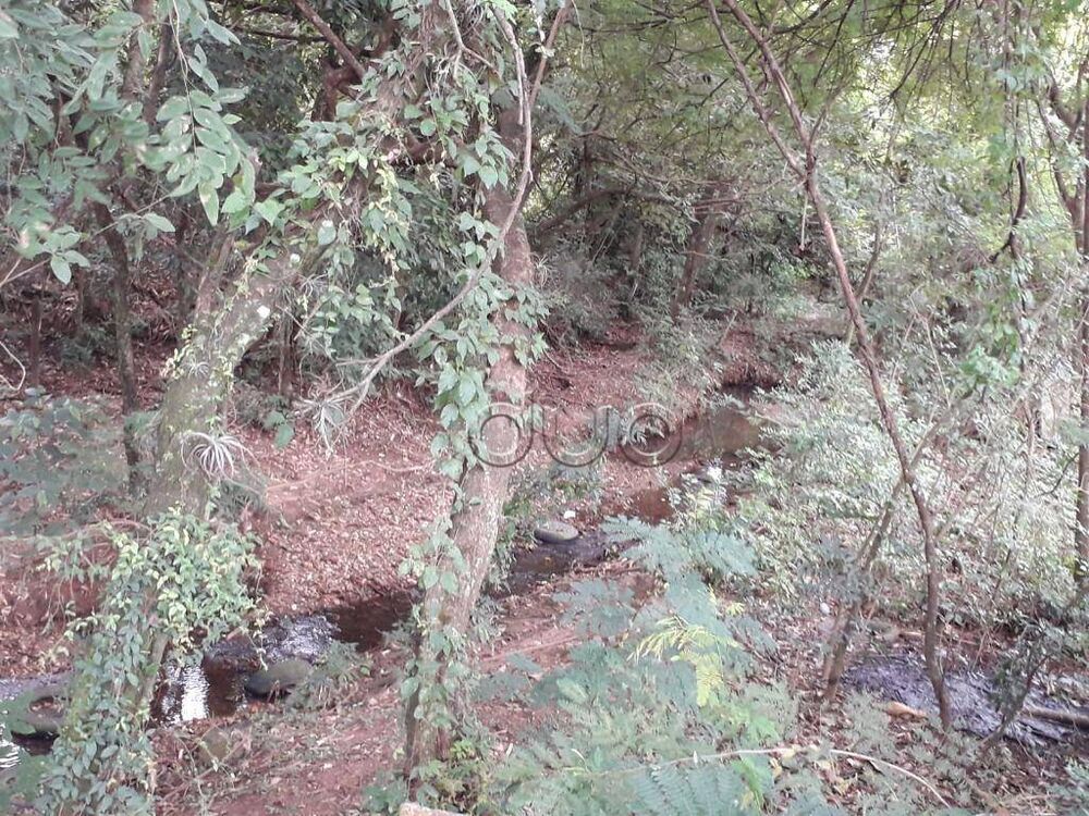 Terreno, 7 hectares - Foto 1