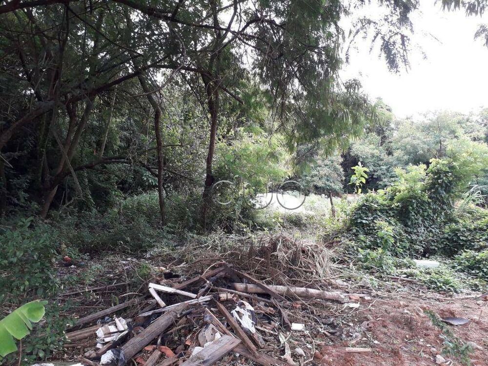 Terreno, 7 hectares - Foto 6
