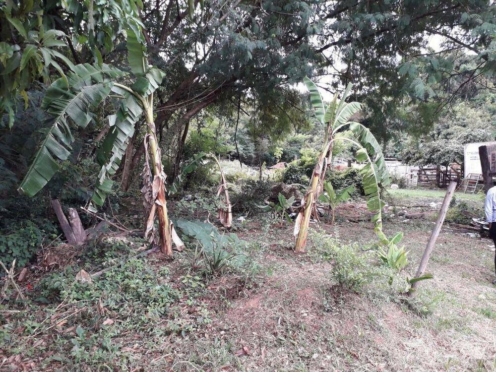Terreno, 7 hectares - Foto 7