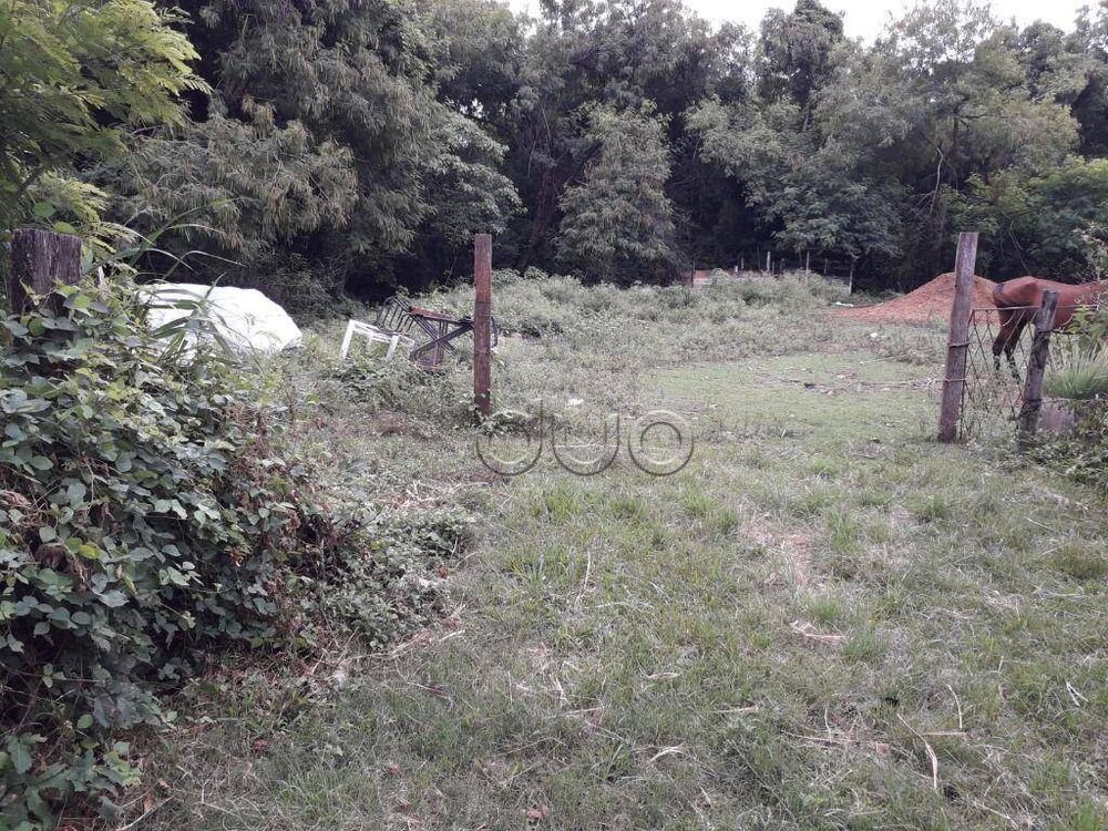 Terreno, 7 hectares - Foto 8