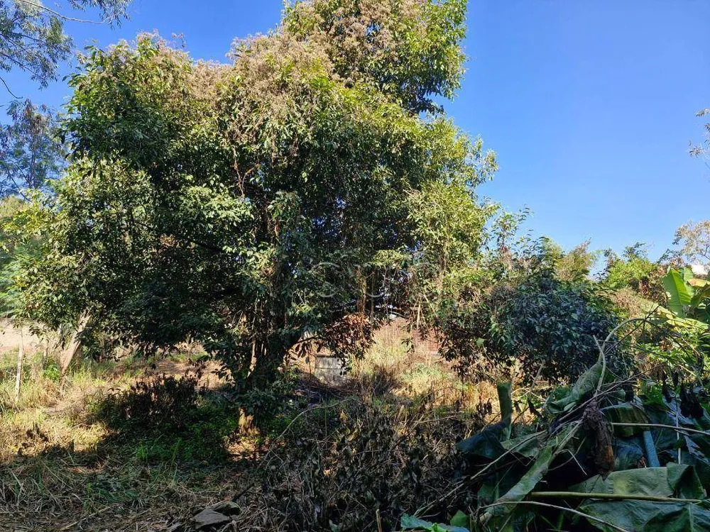 Terreno, 1000 m² - Foto 5