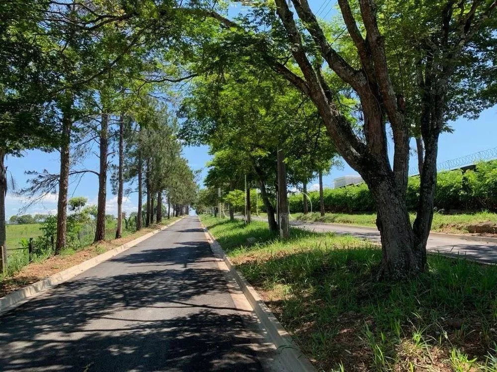 Terreno, 5000 m² - Foto 3