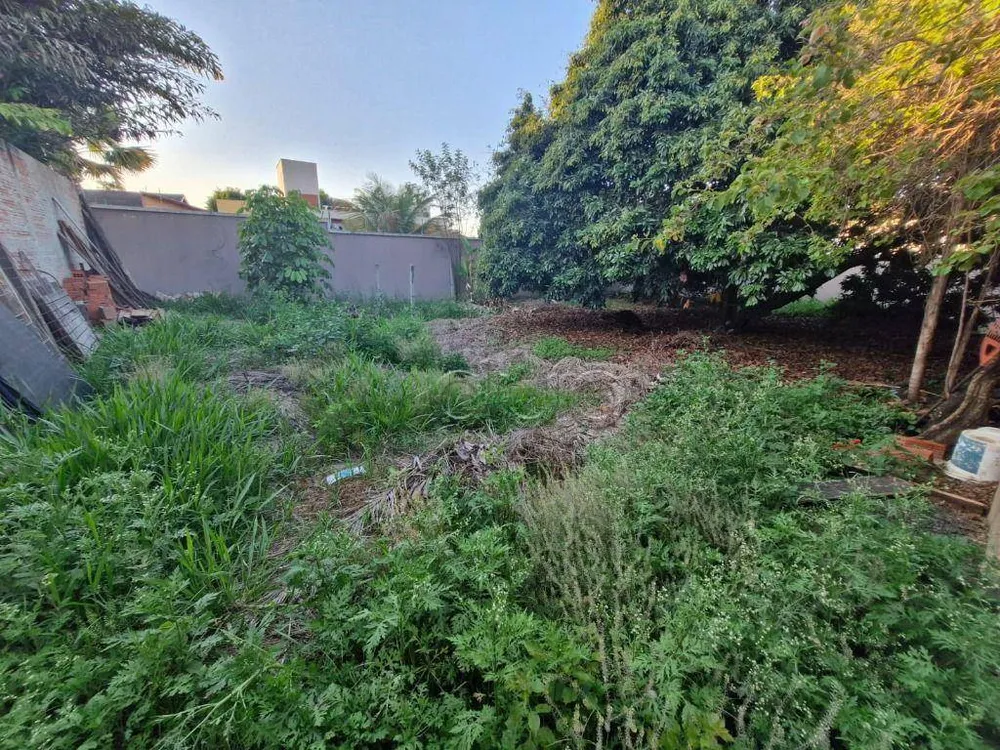 Terreno, 290 m² - Foto 3