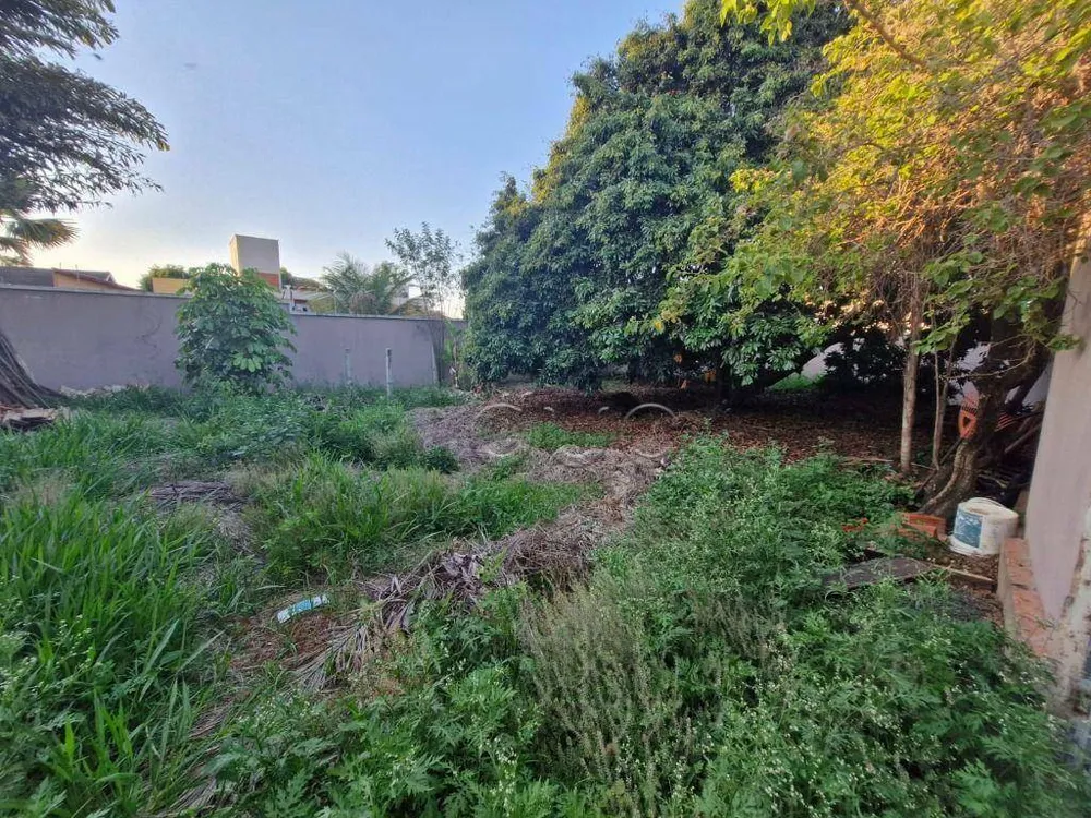 Terreno, 290 m² - Foto 4