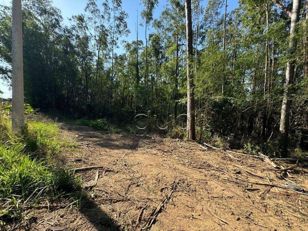 Terreno, 10 hectares - Foto 8
