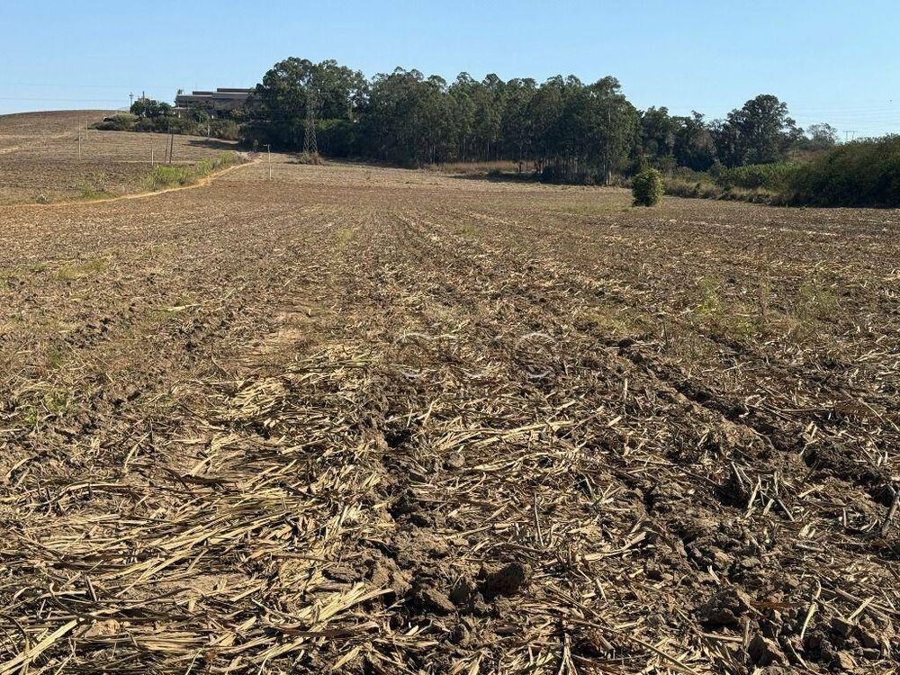 Terreno, 10 hectares - Foto 1