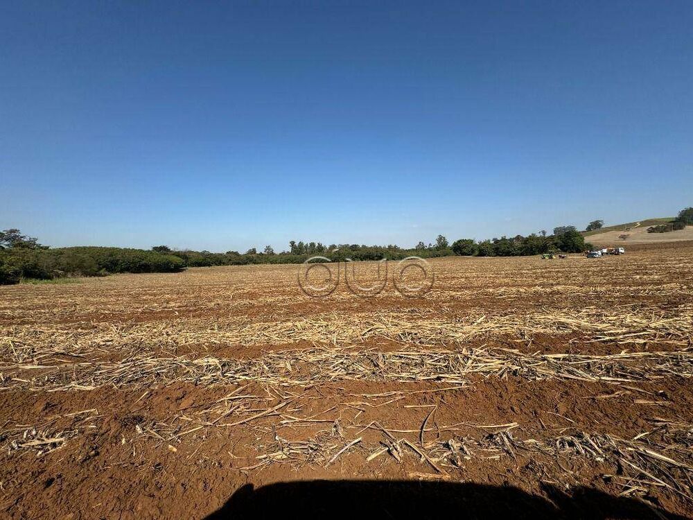Terreno, 10 hectares - Foto 6