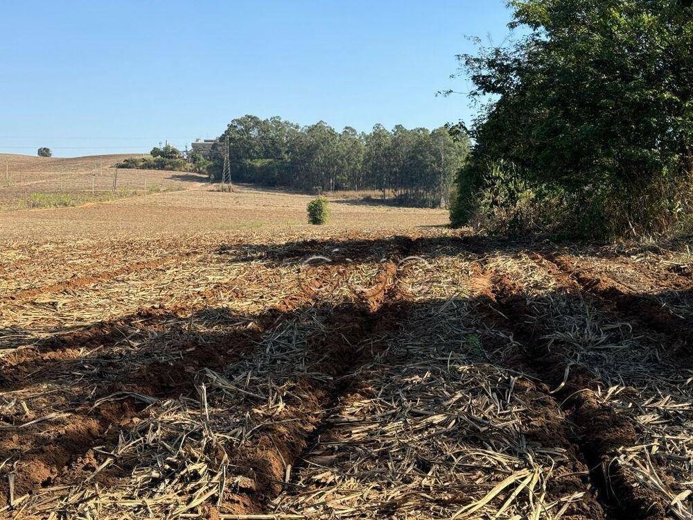 Terreno, 10 hectares - Foto 4
