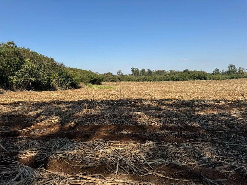 Terreno, 10 hectares - Foto 7