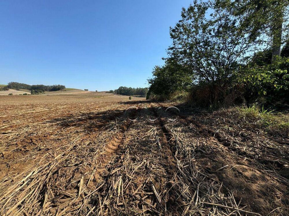 Terreno, 10 hectares - Foto 3