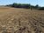 Terreno, 10 hectares - Foto 1