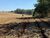 Terreno, 10 hectares - Foto 4