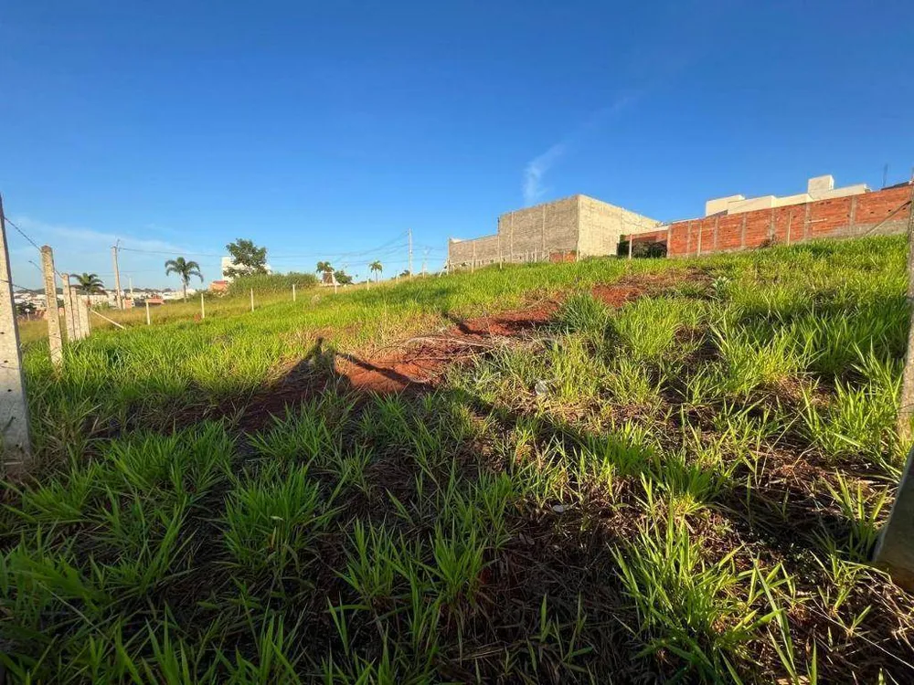 Terreno, 250 m² - Foto 4