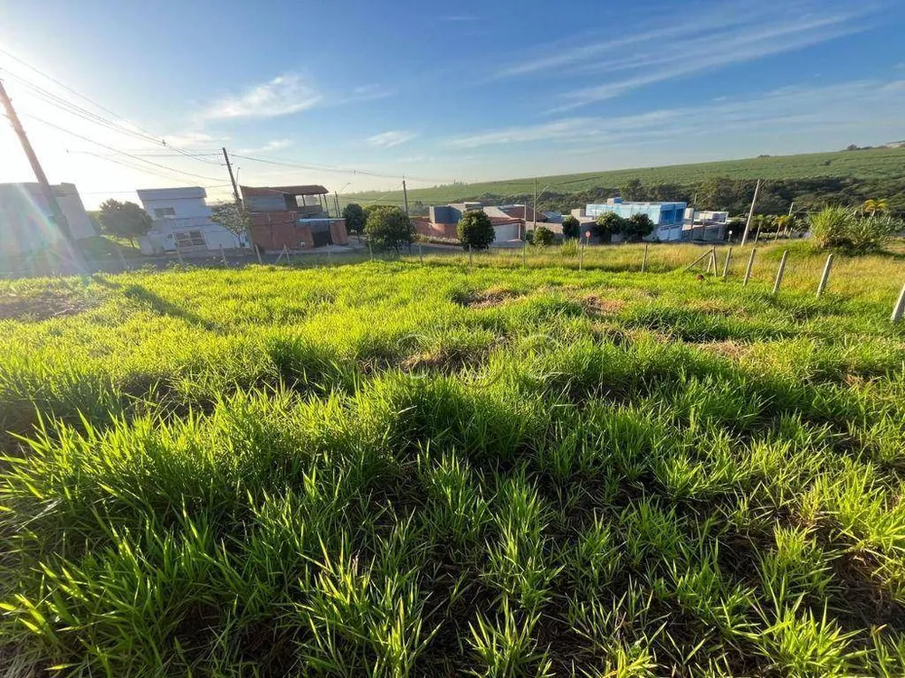 Terreno, 250 m² - Foto 1