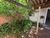Casa, 2 quartos, 94 m² - Foto 7