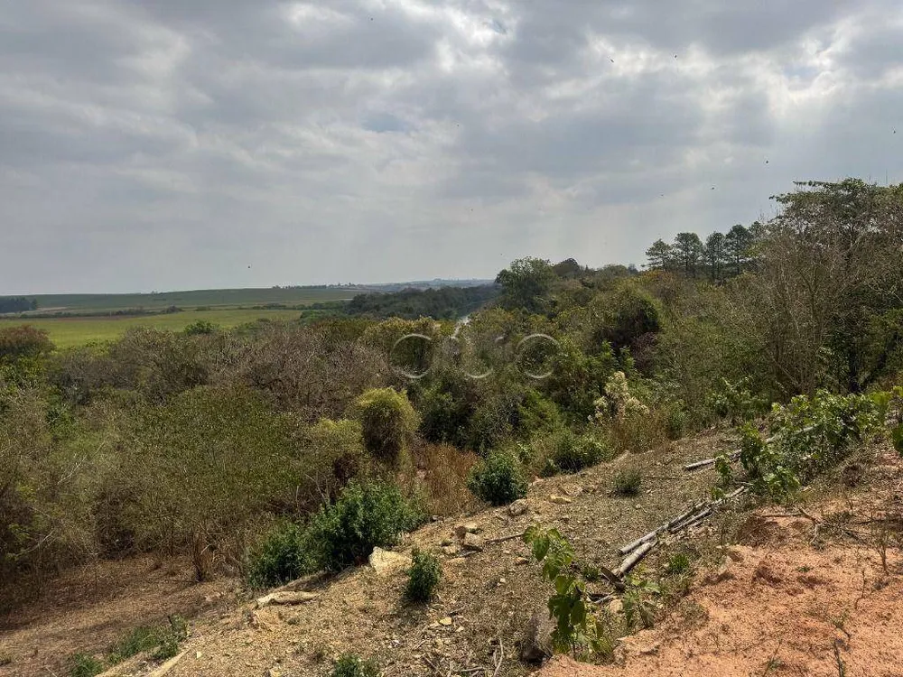Terreno, 5 hectares - Foto 6