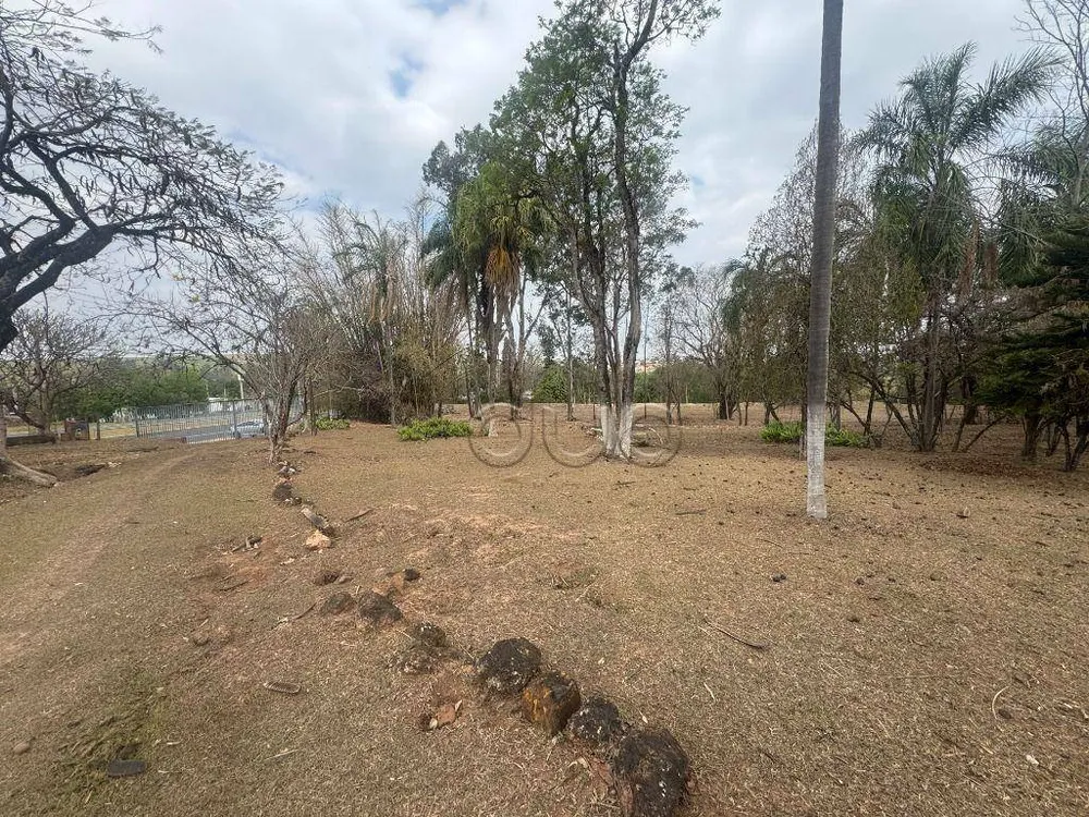 Terreno, 5 hectares - Foto 3