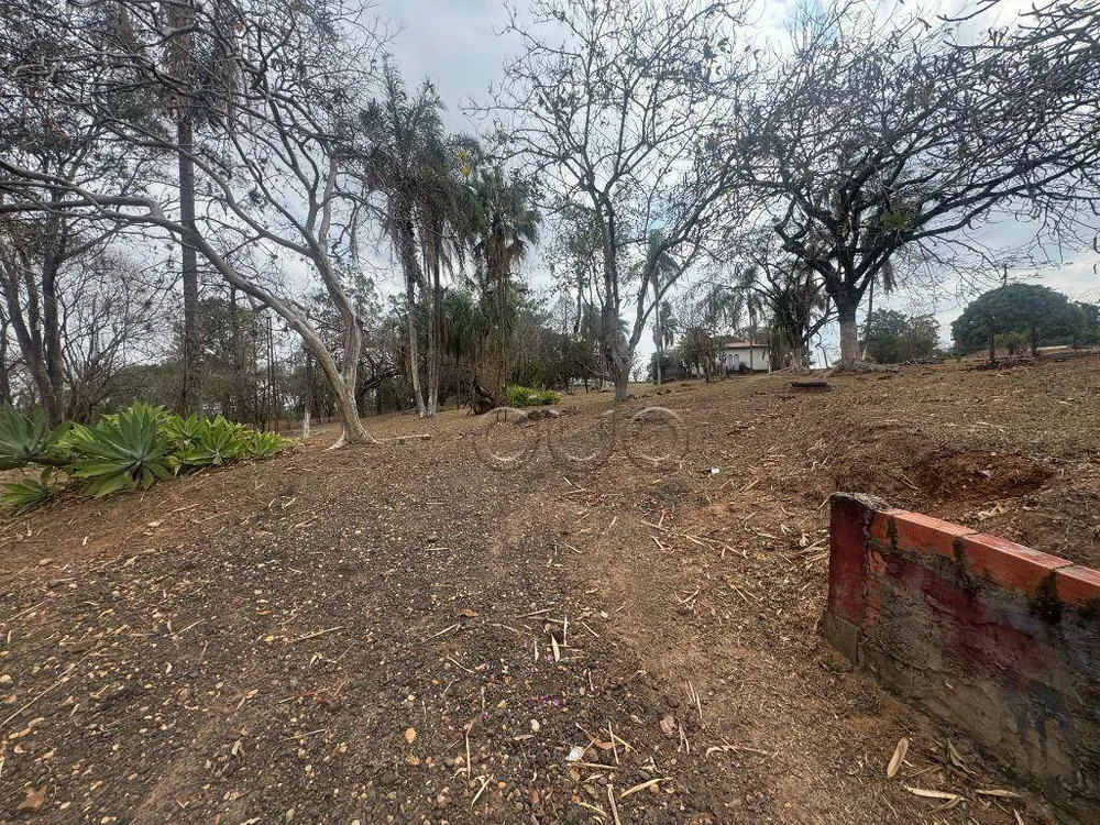 Terreno, 5 hectares - Foto 4