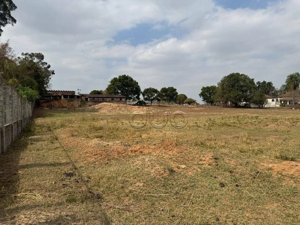 Terreno, 5 hectares - Foto 8