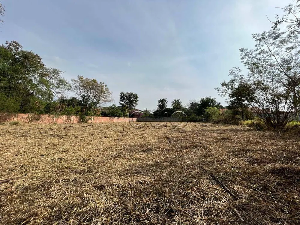 Terreno, 3100 m² - Foto 3