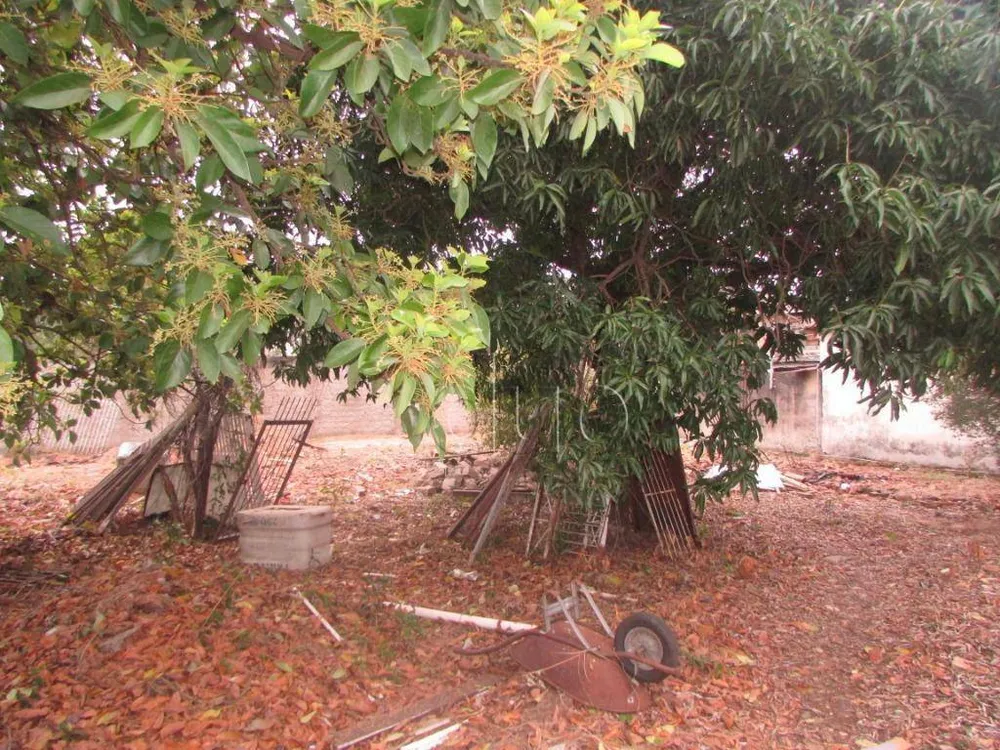 Terreno, 1995 m² - Foto 14