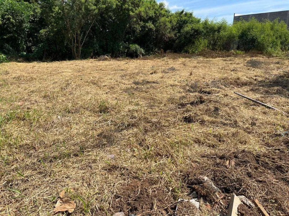 Terreno, 429 m² - Foto 6