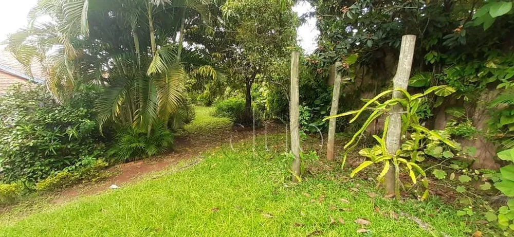 Chácara, 4 quartos, 1168 m² - Foto 11