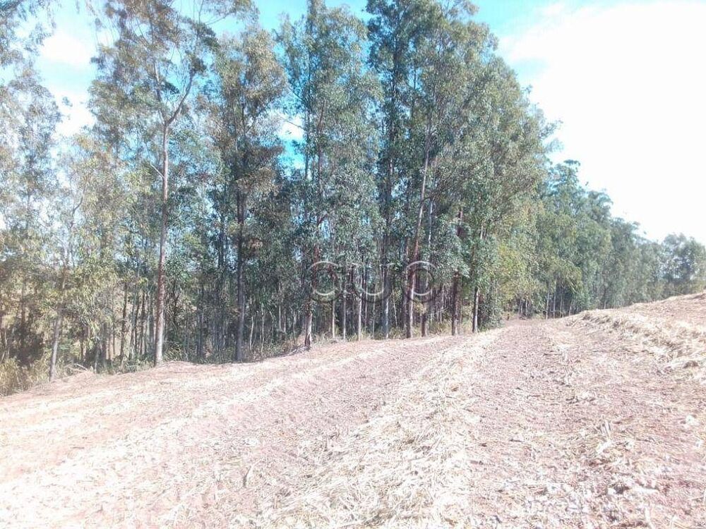 Terreno, 4450 m² - Foto 3