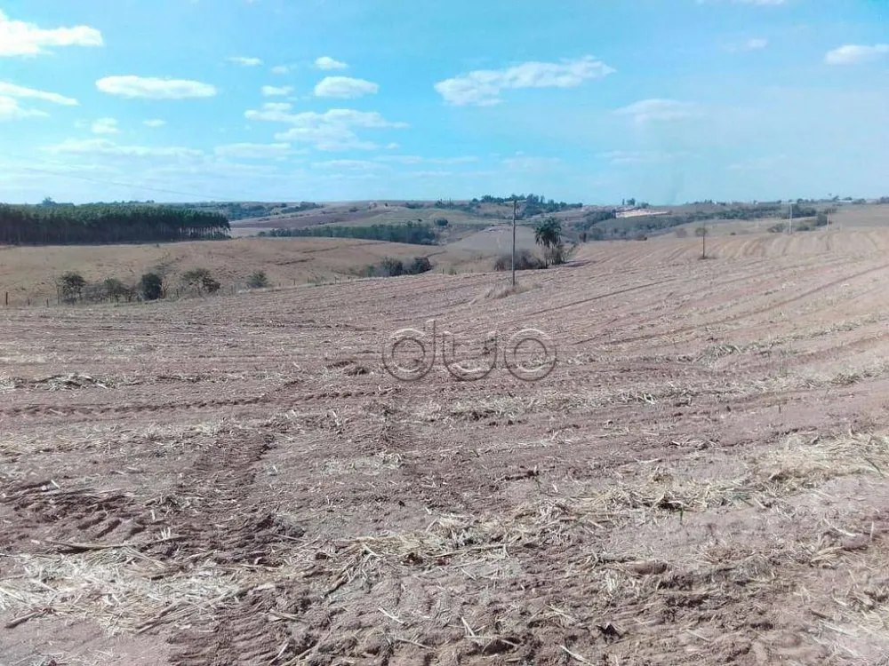 Terreno, 4450 m² - Foto 4