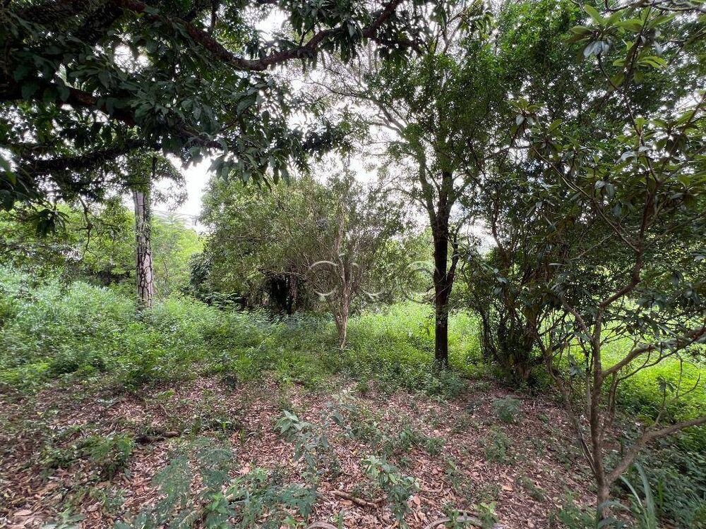 Terreno, 7439 m² - Foto 4