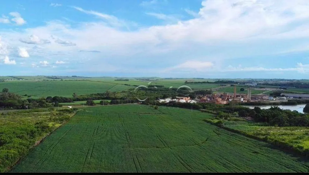 Terreno, 4 hectares - Foto 6