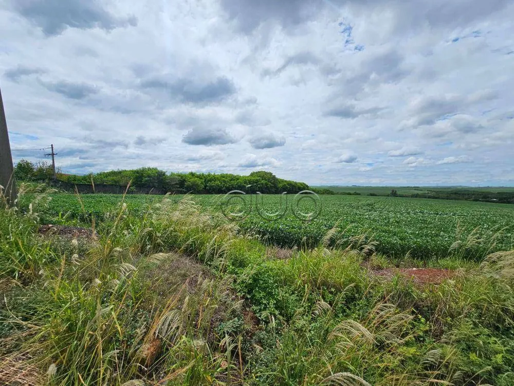 Terreno, 4 hectares - Foto 2