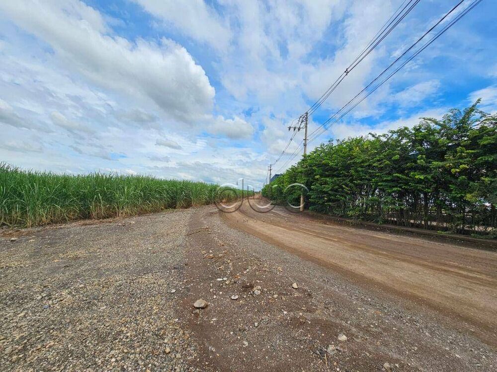 Terreno, 4 hectares - Foto 1