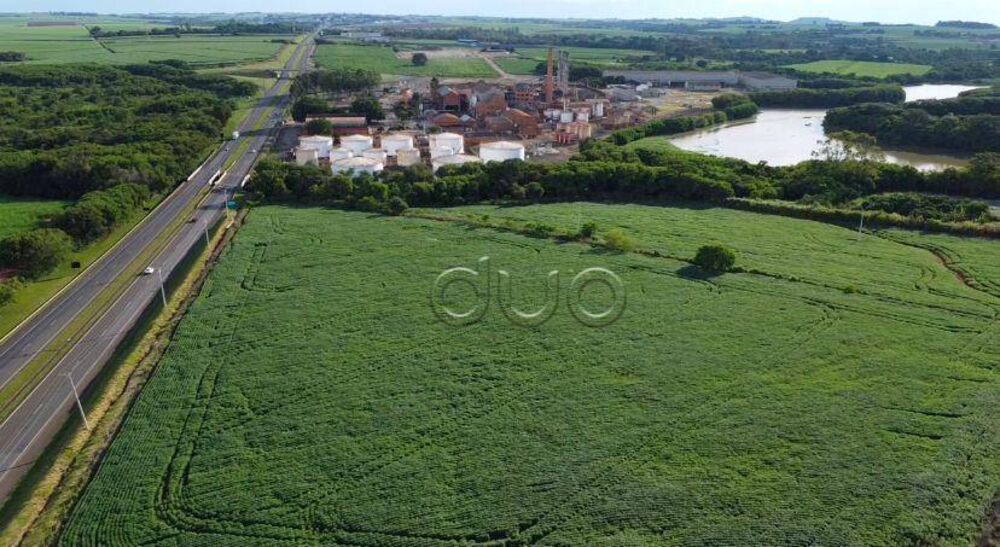 Terreno, 4 hectares - Foto 4