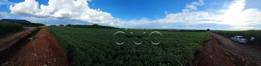 Terreno, 4 hectares - Foto 8