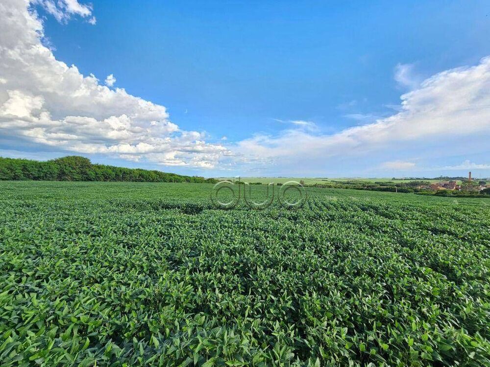 Terreno, 4 hectares - Foto 2