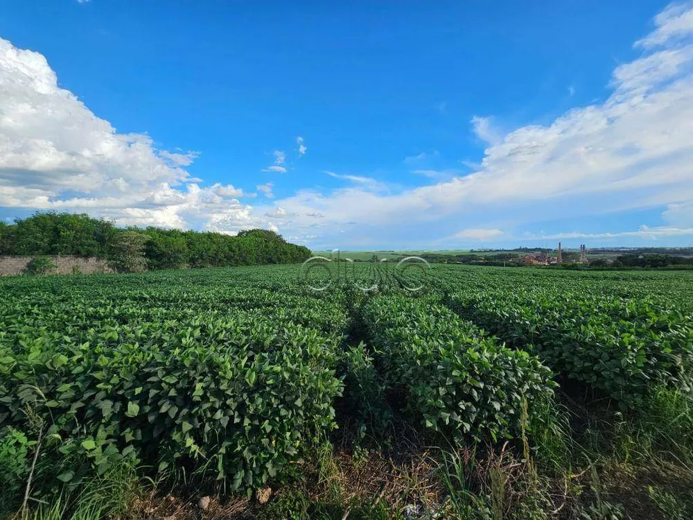Terreno, 4 hectares - Foto 7
