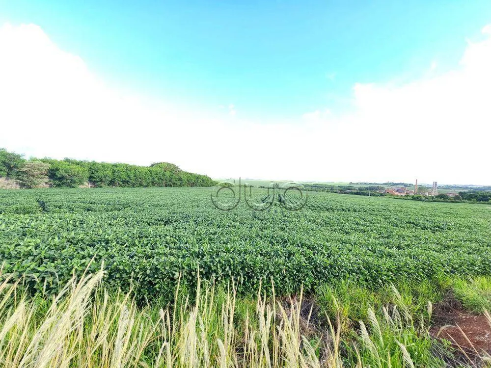 Terreno, 4 hectares - Foto 4